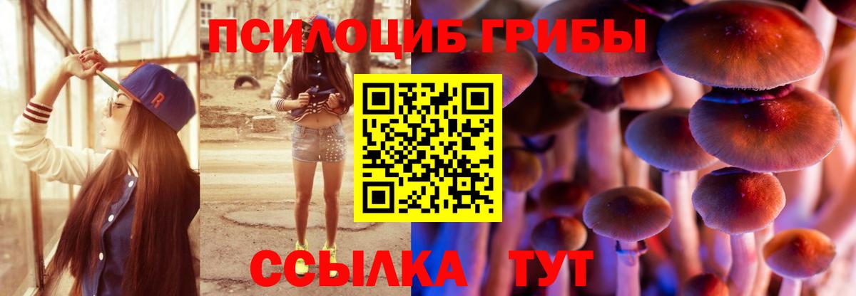 Абакан  Псилоцибиновые грибы прущие грибы  Вход с VPN  купить наркотик  Галлюциногенные грибы ЛСД 